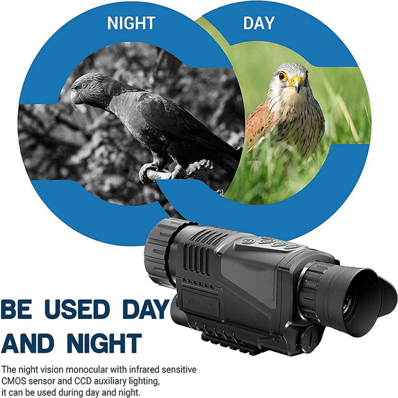 Low Light Night Vision Hunting - Outdoor Adventure Videos recension och pris