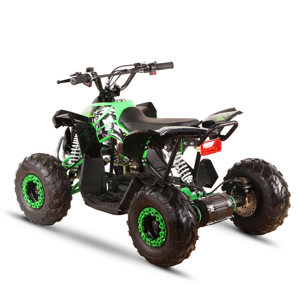 110cc 4-Stroke Powered Sporty  - Outdoor Adventure Vehicles recension och pris